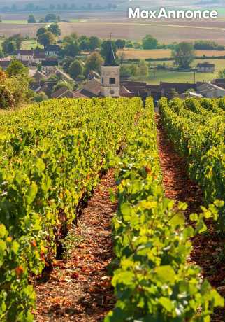 STAGE D ÉQUITATION EN BOURGOGNE 